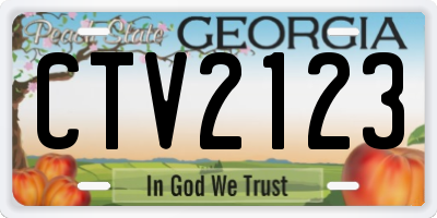 GA license plate CTV2123