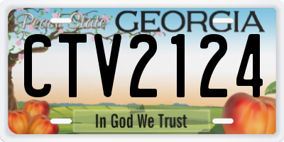 GA license plate CTV2124