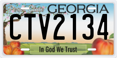 GA license plate CTV2134
