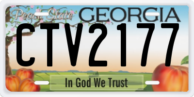 GA license plate CTV2177