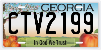 GA license plate CTV2199