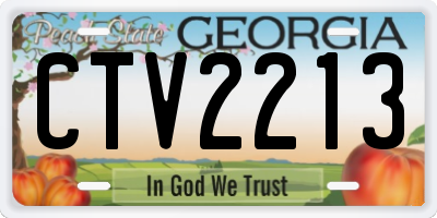 GA license plate CTV2213