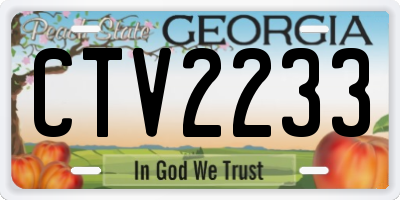 GA license plate CTV2233