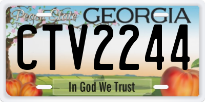 GA license plate CTV2244