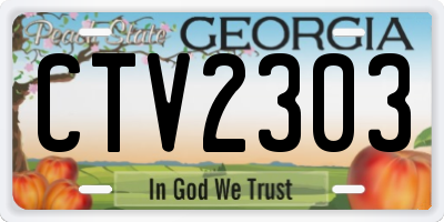 GA license plate CTV2303