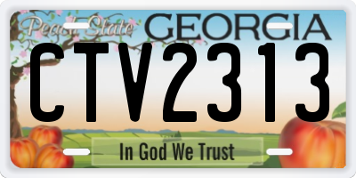GA license plate CTV2313