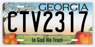 GA license plate CTV2317