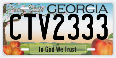 GA license plate CTV2333