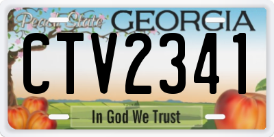 GA license plate CTV2341