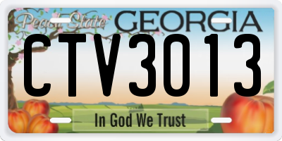 GA license plate CTV3013