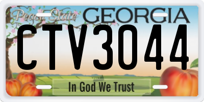 GA license plate CTV3044