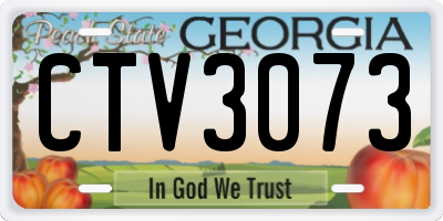 GA license plate CTV3073