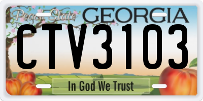 GA license plate CTV3103