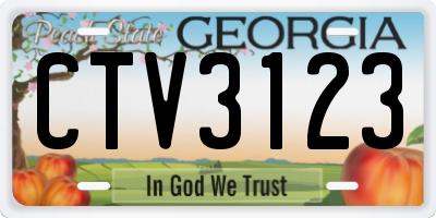 GA license plate CTV3123