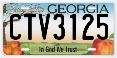 GA license plate CTV3125