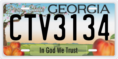 GA license plate CTV3134
