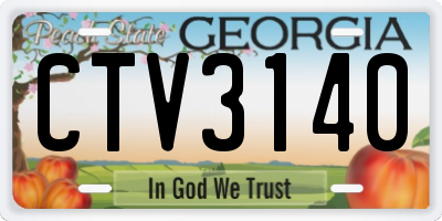 GA license plate CTV3140