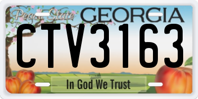 GA license plate CTV3163