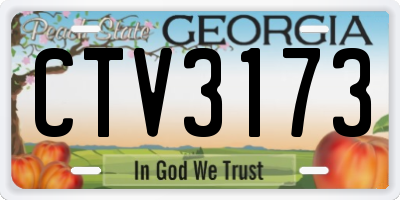 GA license plate CTV3173