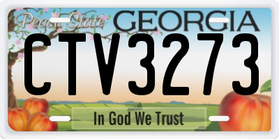 GA license plate CTV3273
