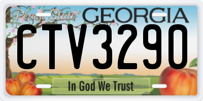 GA license plate CTV3290