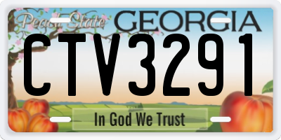 GA license plate CTV3291