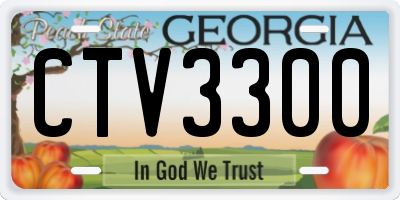 GA license plate CTV3300