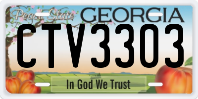 GA license plate CTV3303
