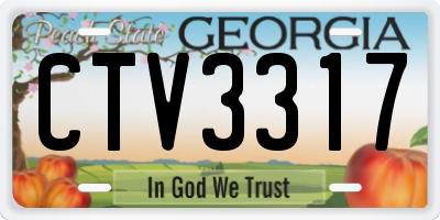 GA license plate CTV3317