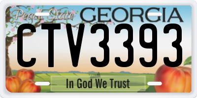 GA license plate CTV3393