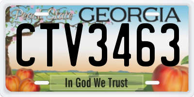 GA license plate CTV3463