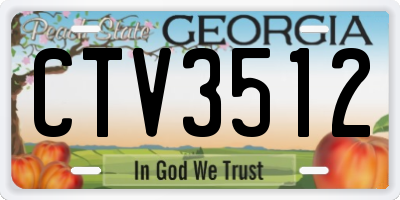GA license plate CTV3512