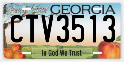 GA license plate CTV3513