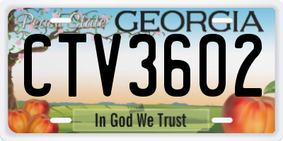 GA license plate CTV3602