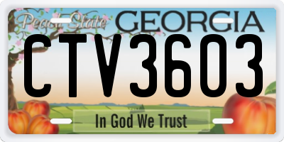 GA license plate CTV3603