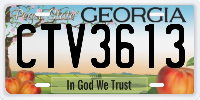 GA license plate CTV3613