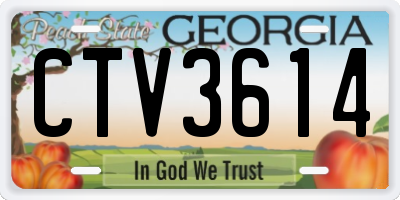 GA license plate CTV3614