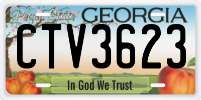 GA license plate CTV3623