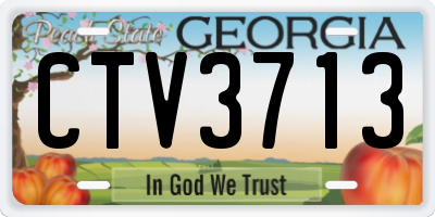 GA license plate CTV3713