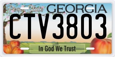GA license plate CTV3803