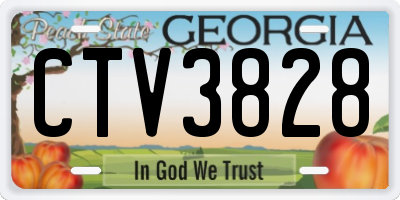 GA license plate CTV3828