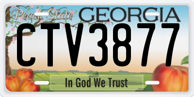 GA license plate CTV3877