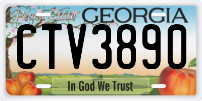 GA license plate CTV3890