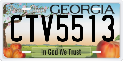 GA license plate CTV5513