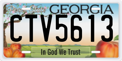 GA license plate CTV5613