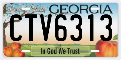 GA license plate CTV6313