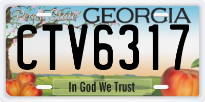 GA license plate CTV6317