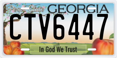 GA license plate CTV6447