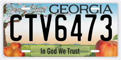 GA license plate CTV6473
