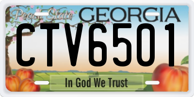 GA license plate CTV6501